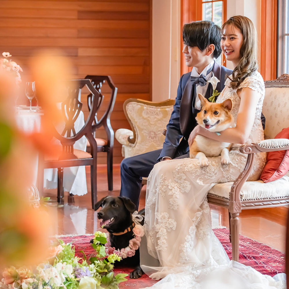 【愛犬も大切な家族】披露宴も参加OK！愛犬と一緒にウエディング相談会★